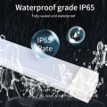 IP65 Tri-proof LED Light